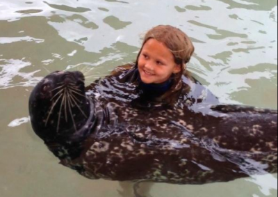 Swimming with Seals in Miami