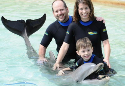 Miami Dolphin Program Transportation