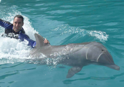 swim with dolphins miami cheap