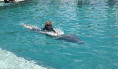 Why is the program called the Dolphin Odyssey Miami or Dolphin Swim Adventure