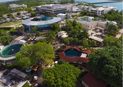 Miami-swim-with-dolphins-facility-key-biscayne